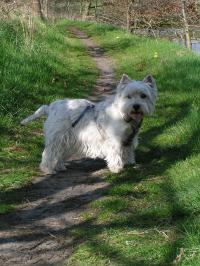 Klik op de foto voor groter formaat